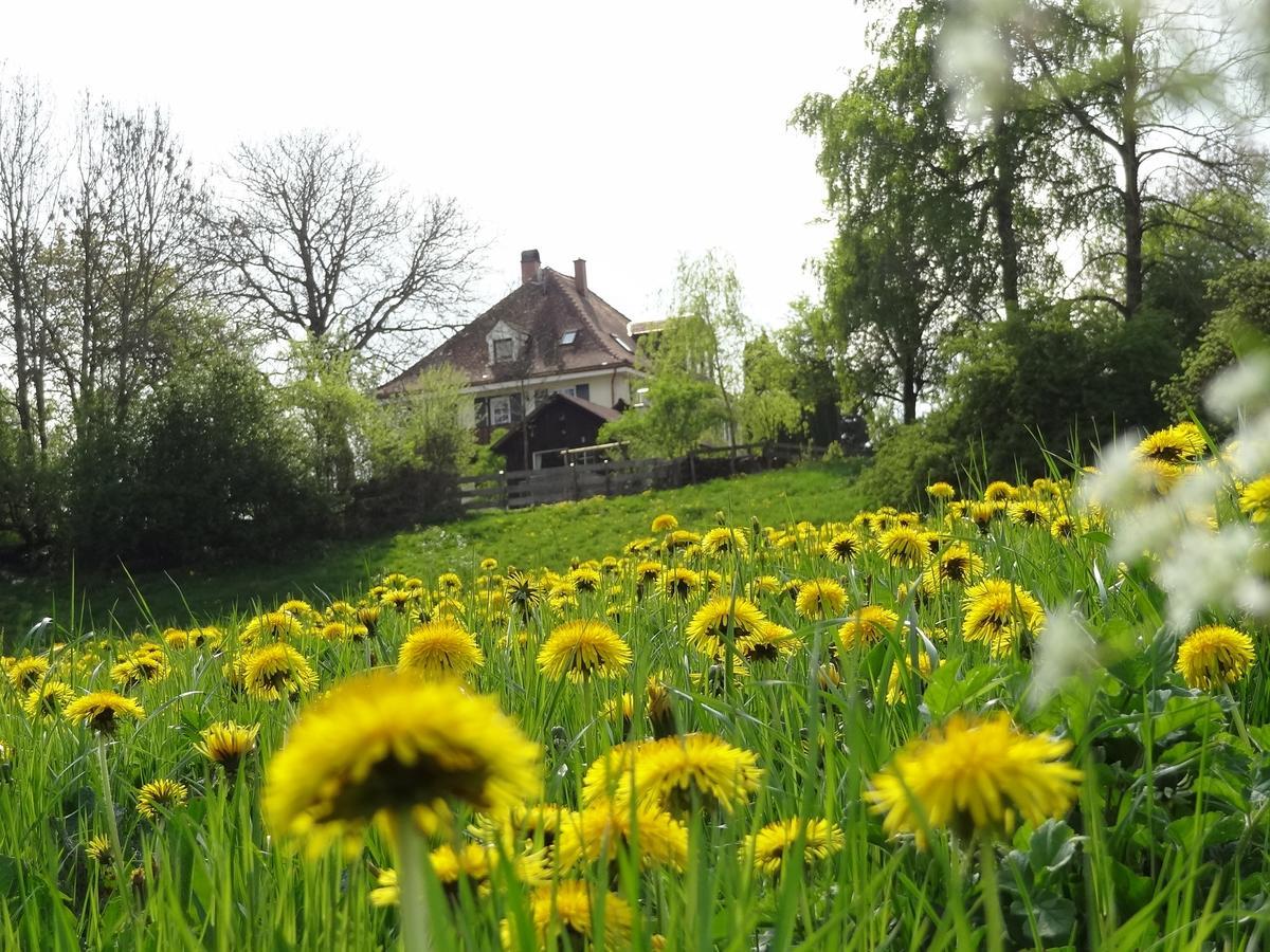 Landhaus Loewenzahn Unteregg Exteriér fotografie