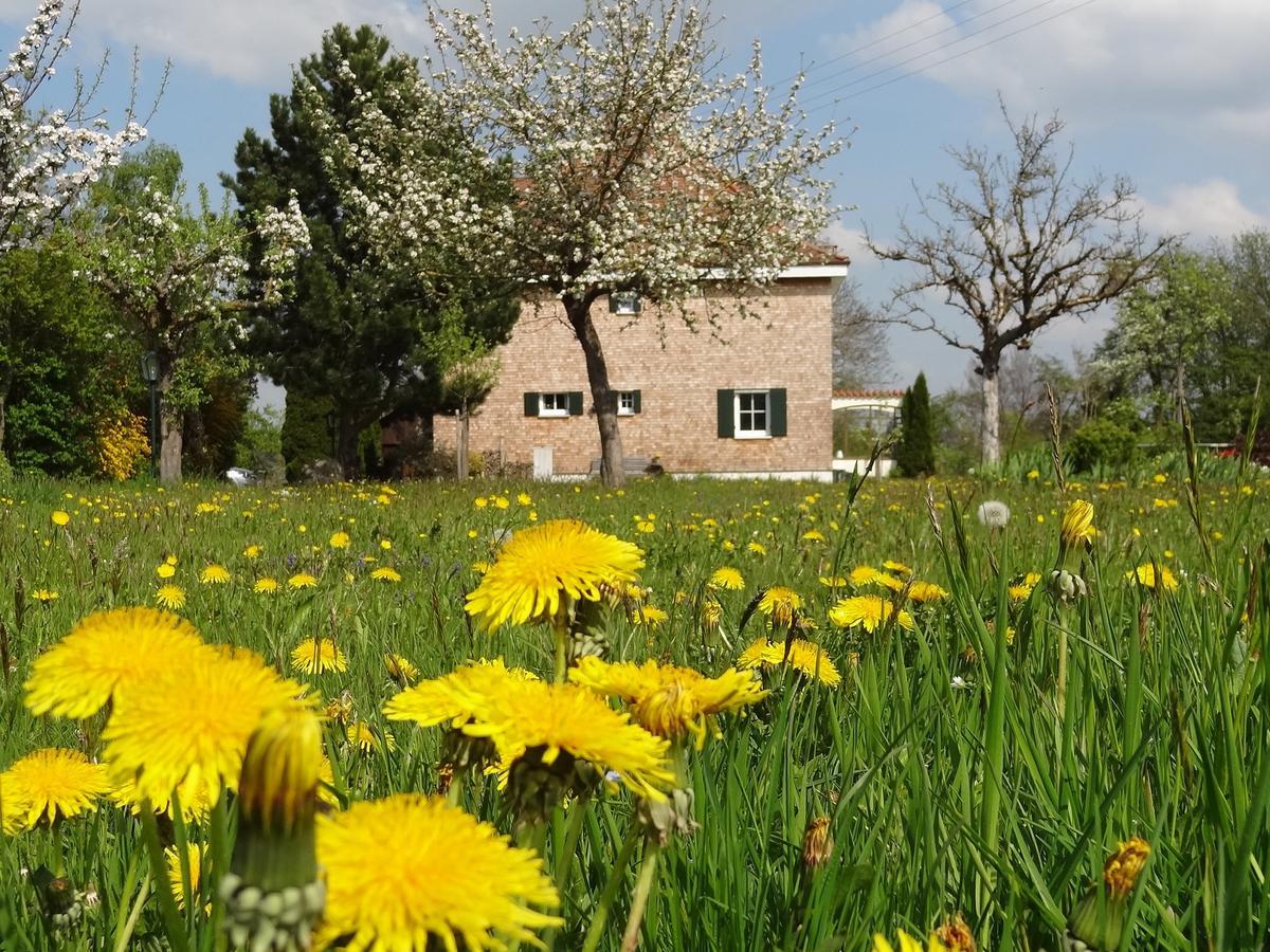 Landhaus Loewenzahn Unteregg Exteriér fotografie