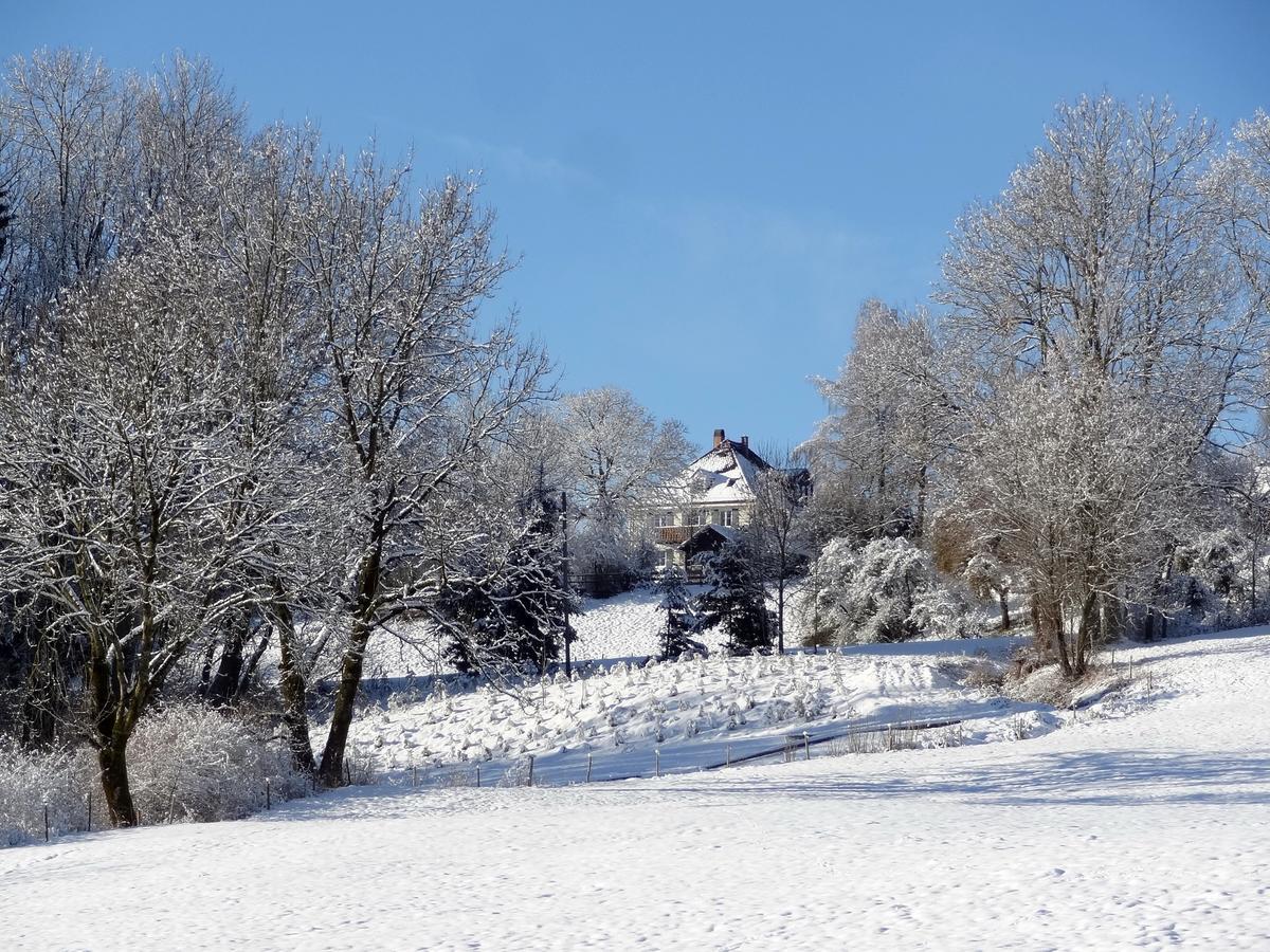 Landhaus Loewenzahn Unteregg Exteriér fotografie